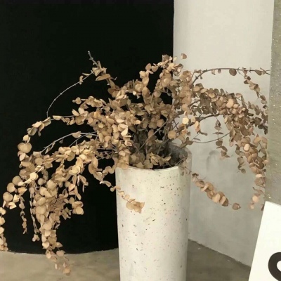 桂林福瑞交流群